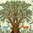 jerusalem olive tree